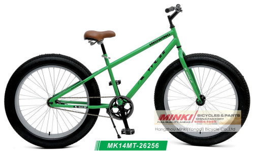 Steel Frame Fat Boy Mountain Bike