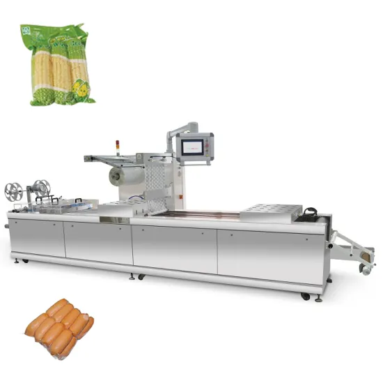 Top Picks: Stand Type Vacuum Packing Machines, Most Popular Vacuum Sealers, and Sing Chamber Vacuum Packers