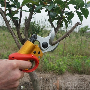 Commercial Electric Pruner Dealers & Suppliers