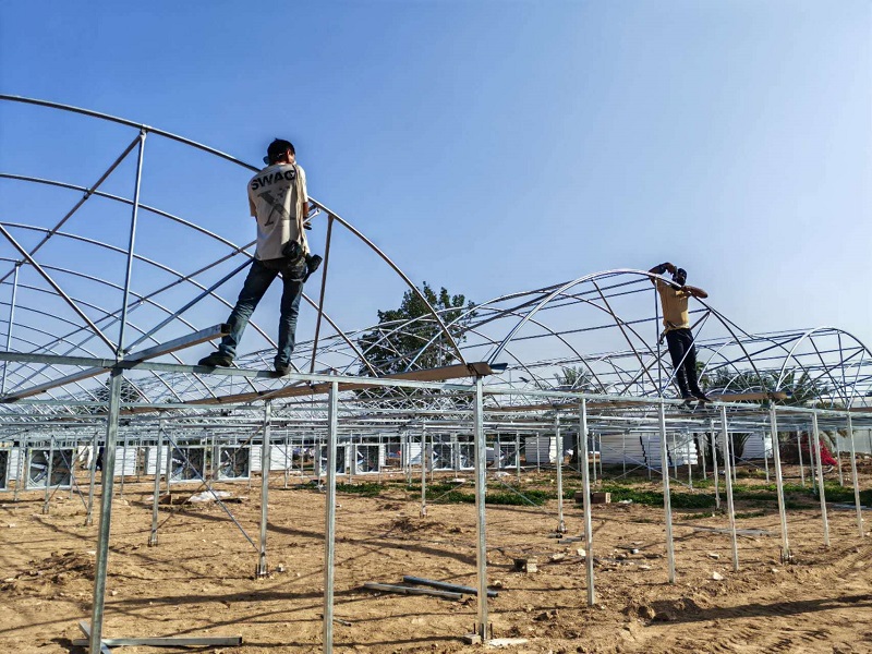 Chongqing Qingcheng Agriculture Accelerates Overseas Expansion; Qatar Greenhouse Project Progress Receives High Praise