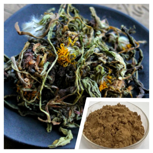Natural Dandelion Extract for Detox and Immune Support