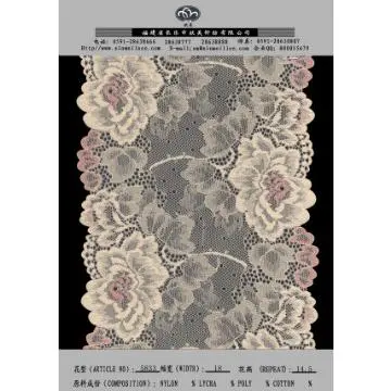 indian laces border 5833