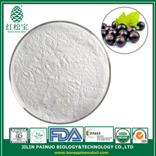 Wholesale supplier pure Black Currant Seed Oil Powder