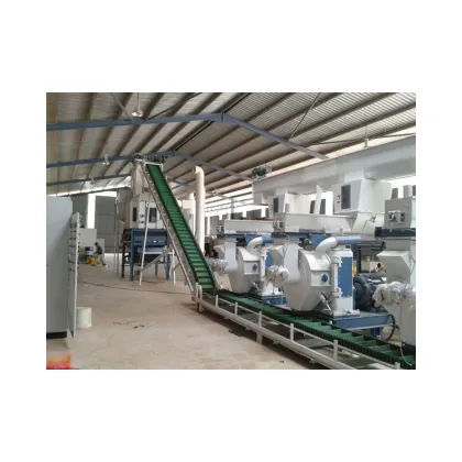 Liyang Yongshang 0.2t/h Wood Chip Pellet Machine