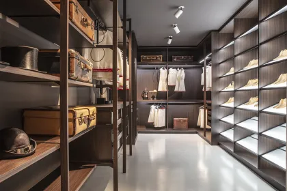 Light Luxury Stainless Steel Wardrobe Cabinets for Bedroom and Home Furnishing
