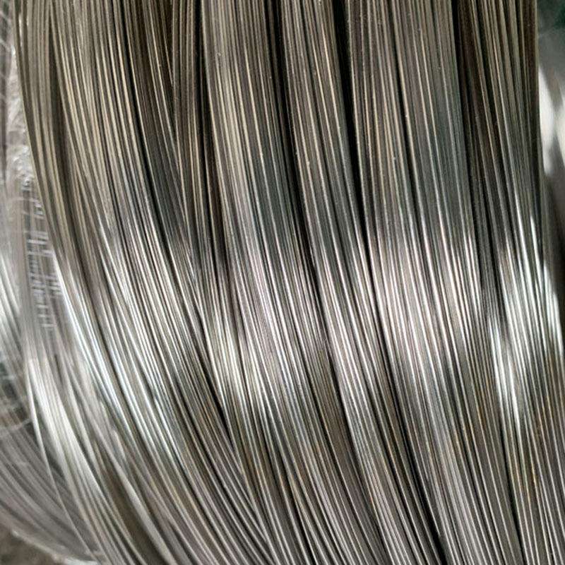 Hot-selling High Carbon 316 SS Spring Wire de SS