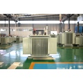 S20-M-1000 10KV Oil Immersed Power Transformer