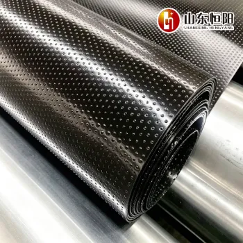 Engineered Column Point Geomembrane with Enhanced Durability