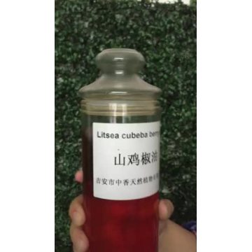 Aceite esencial de Litsea Cubeba Oil de grado farmacéutico