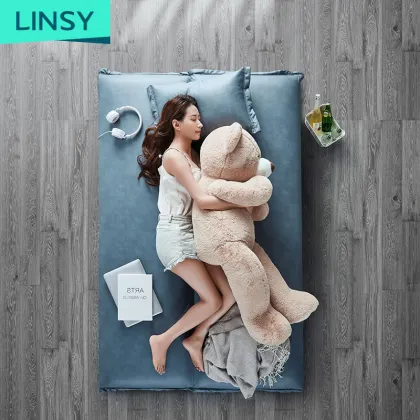 Linsy Modern Foldable Tatami Floor Sofa Bed Set