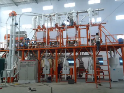 Wheat Flour Mill Machinery: 30T Wheat Flour Plant