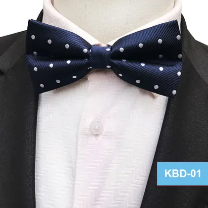 Custom Business Bow Ties and Silk Ties for Men