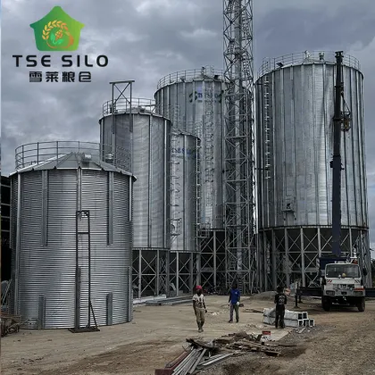 100m³ Farm Livestock Feed Silo for Pig Farm Feeds