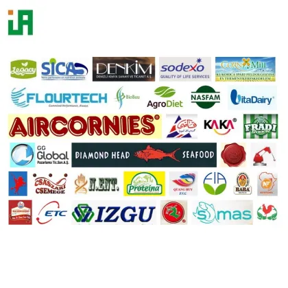 Turkish Marketplace for Modified Starch & Pregelatinized Starch Processing Line Machinery