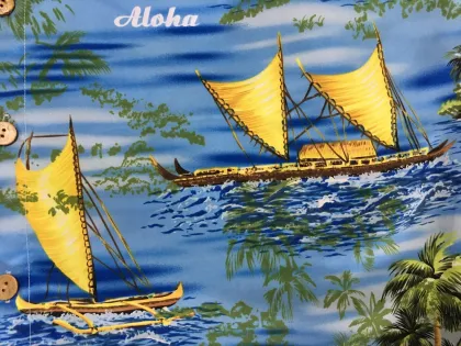 Men Hawaiian Beach Shirt