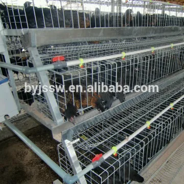 Design Layer Chicken Cage With Automatic System ( 3 layers)