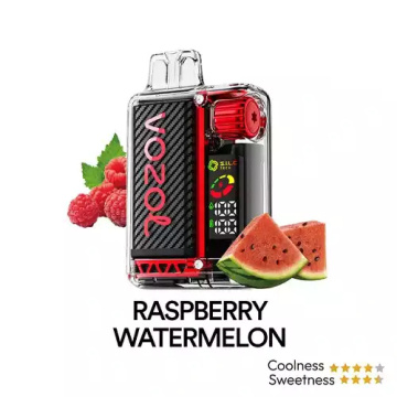 VOZOL Vista 20000 Puffs Disposable Vape Germany Wholesale