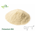 Potassium IBA Plant Growth Regulator Supplier