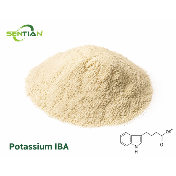 Potassium IBA Plant Growth Regulator Supplier