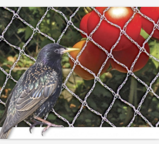Filet anti-oiseaux en maille en plastique résistant aux UV