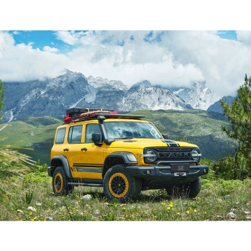 Used WEY Tank 300 SUV: 2.0T AWD Off-road Vehicle for Sale