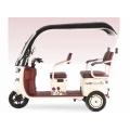 Household commuting Electric leisure tricycle with canopy