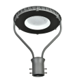 50W100W150W Light Garden Light