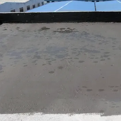 Polymer Cement Liquid Rubber Coating for Waterproof Interior Wall Paint