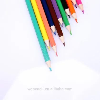 24-color Colored Pencils/ prismacolor colored pencil set/Secret Garden Coloring Book