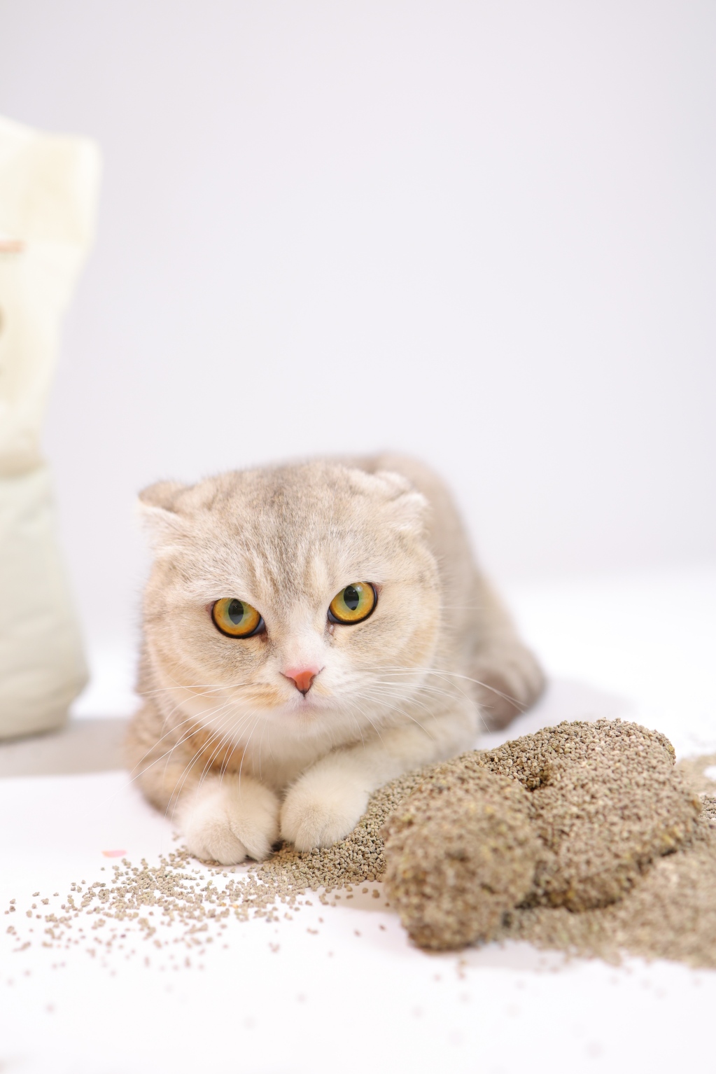 3.0mm Lavender Scented Activated Charcoal Bentonite Cat Litter2