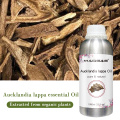 Yun Mu Xiang Factory Supply Aplotaxis Auriculata Nature Brue Herbal Radix Aucklandia Lappa