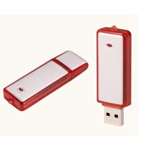 Euro classic plastic USB flash disk