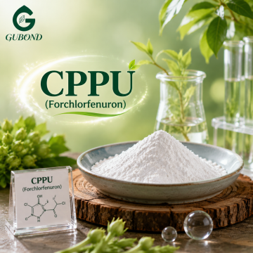 Forchlorfenuron ส่วนผสมออกฤทธิ์สำหรับการจัดการพืชผล