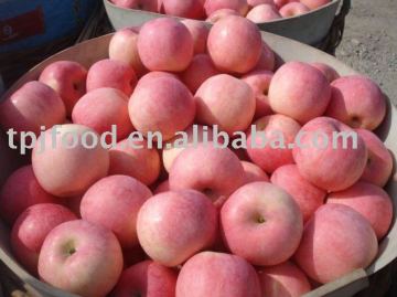 fresh fruit--red fuji apple-- grade ABC mix
