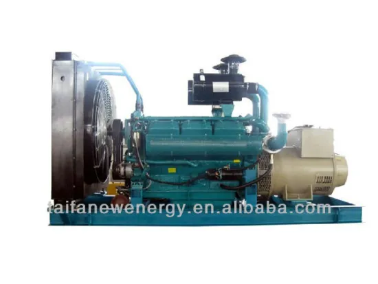 320kw PAOU Diesel generating set with container enclosure weatherproof