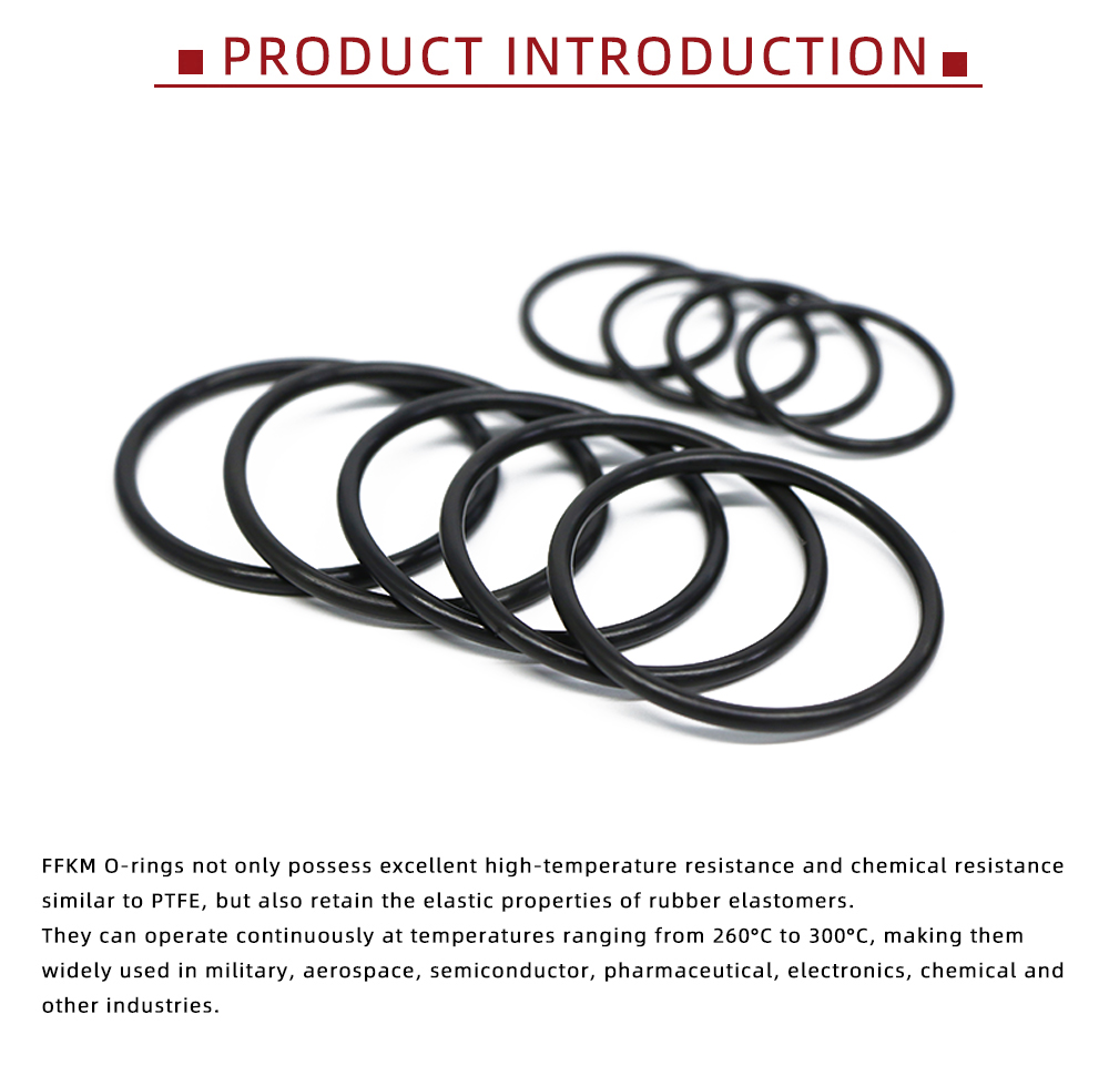 High Pressure FFKM O-Ring Seal x