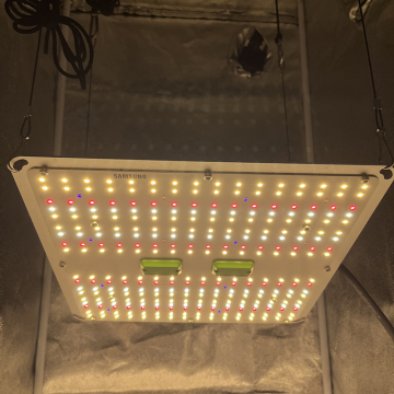 Kingbrite 100W Samsung LM301H Evo LED 별도의 UV/IR 스위치로 빛을 발합니다.