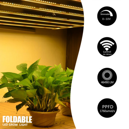 Светодиодный светильник для выращивания растений с полным спектром ультрафиолета и ИК-диапазона мощностью 600 Вт