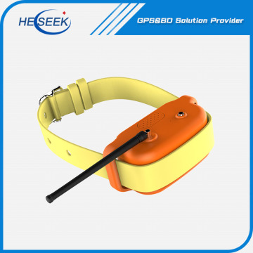 Animal Dog GPS Training Collar Tracking Devices
