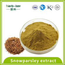 10% Snowparsley Extract Osthole Pulver