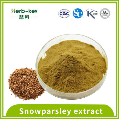 10% d'extraction de Snowparsley en poudre de trou d'osth