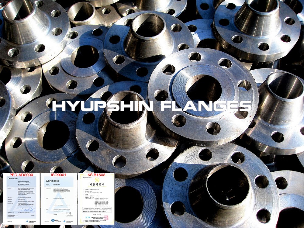 Hyupshin Flanges Ansi Weld Neck Rf