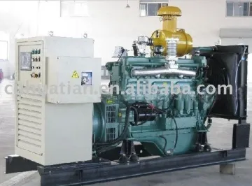 25KW biogas generator