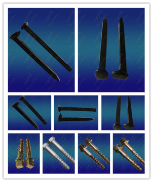 Rail Spike