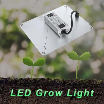 High-Performance Grow Lights for Indoor Plants