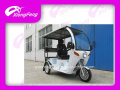 Tricycle handicapé de 110 cc avec siège de passager