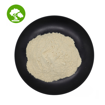 High Quality 99% Xanthan Gum