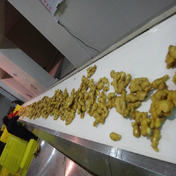 Fresh Ginger for Food