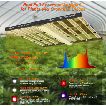 2 canais Double Switches 1000W LED Grow Light