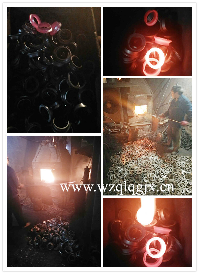 Sanitary Forged Flange